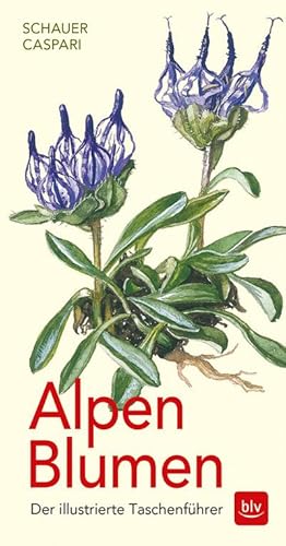 Seller image for Alpen-Blumen for sale by BuchWeltWeit Ludwig Meier e.K.