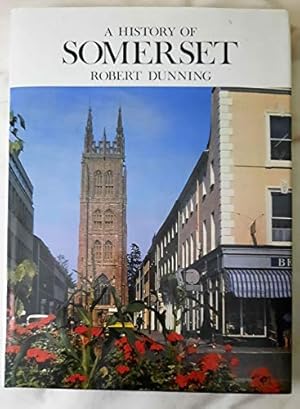 Seller image for History of Somerset (Darwen County History) for sale by WeBuyBooks