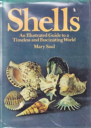 Shells: An Illustrated Guide to a Timeless and Fascinating World