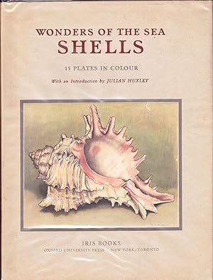 Wonders of the Sea: Shells