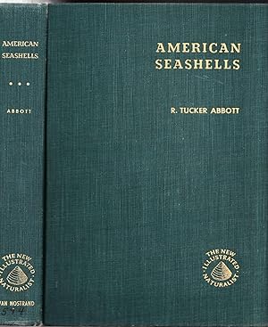 American Seashells