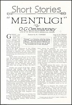 Seller image for Mentugi : an ordeal by boiling water, formerly practised among the Natives of Borneo. An uncommon original article from the Wide World Magazine, 1932. for sale by Cosmo Books