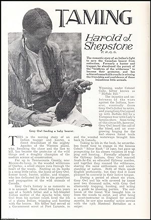 Seller image for Taming the Beaver : a story of an Indian's fight to save the Canadian Beaver. An uncommon original article from the Wide World Magazine, 1932. for sale by Cosmo Books