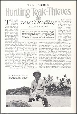 Imagen del vendedor de Hunting Teak-Thieves in the Java Jungle. An uncommon original article from the Wide World Magazine, 1931. a la venta por Cosmo Books
