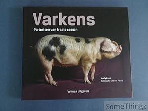 Imagen del vendedor de Varkens. Portretten van fraaie rassen. a la venta por SomeThingz. Books etcetera.