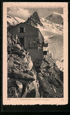 Carte postale Chamonix, Les Grands Mulets et le Sommet du Mont Blanc, Le Pic Wilson, Dôme du Goûter