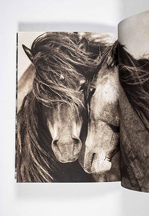 Seller image for The Wild Horses of Sable Island" [Book prospectus ] for sale by ERIC CHAIM KLINE, BOOKSELLER (ABAA ILAB)