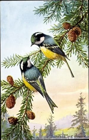Künstler Ansichtskarte / Postkarte Bird, A., Tannenmeisen auf einem Nadelzweig, Vögel