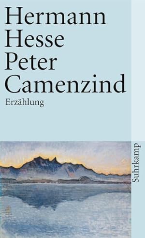Seller image for Peter Camenzind for sale by Wegmann1855