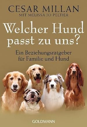 Imagen del vendedor de Welcher Hund passt zu uns? a la venta por Wegmann1855