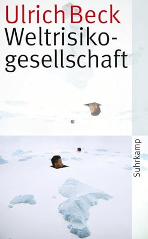Seller image for Weltrisikogesellschaft for sale by Wegmann1855