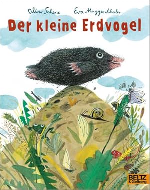 Seller image for Der kleine Erdvogel for sale by Wegmann1855