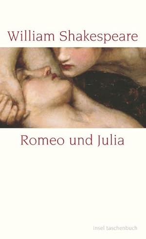 Bild des Verkufers fr Romeo und Julia zum Verkauf von Wegmann1855