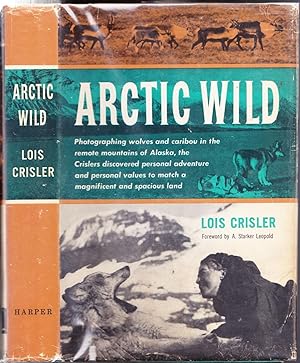 Arctic Wild