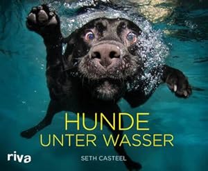 Imagen del vendedor de Hunde unter Wasser a la venta por Wegmann1855