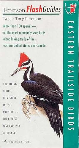 Eastern trailside birds