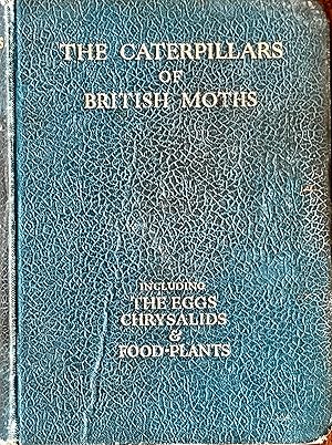 The caterpillars of British moths (etc.)
