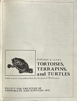 Tortoises, terrapins, and turtles drawn from life