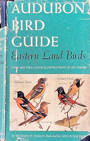 Audubon bird guide: eastern land birds