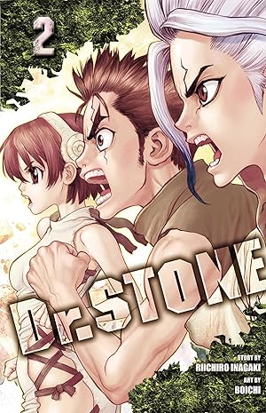 Bild des Verkufers fr Dr. Stone, Vol. 2 zum Verkauf von moluna