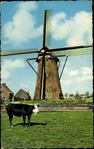 Bild des Verkufers fr Ansichtskarte / Postkarte Warmond Sdholland, polder Boterhuis, Hollandse Molen, Dutch Mill, Windmhle, Kuh zum Verkauf von akpool GmbH