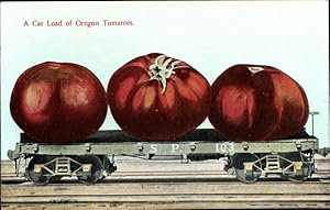 Ansichtskarte / Postkarte USA, A Carload of Oregon Tomatoes, S.P. 103