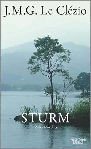Seller image for Sturm for sale by Wegmann1855
