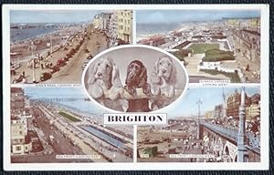 Seller image for Brighton Postcard King's Road LOCAL PUBLISHER A.W.W. Brighton & Worthing for sale by Postcard Anoraks