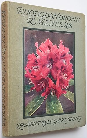 Seller image for Rhododendrons & Azaleas for sale by Dodman Books