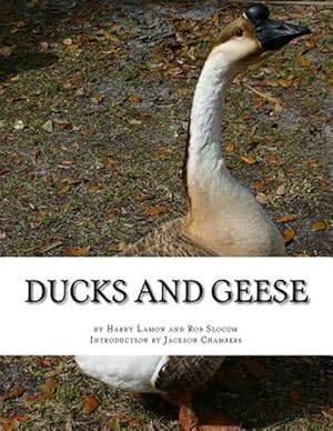 Seller image for Ducks and Geese for sale by GreatBookPrices