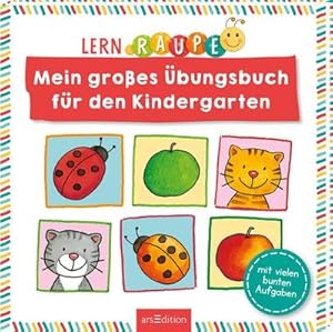 Imagen del vendedor de Lernraupe - Mein groes bungsbuch fr den Kindergarten a la venta por Wegmann1855