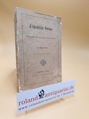 Bild des Verkufers fr Tschechische Gnge Bhmische Wanderungen und Studien zum Verkauf von Roland Antiquariat UG haftungsbeschrnkt