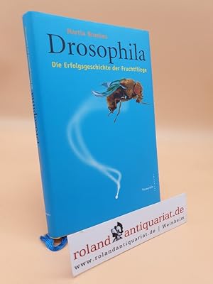 Seller image for Drosophila : die Erfolgsgeschichte der Fruchtfliege / Martin Brookes. Dt. von Hubert Mania for sale by Roland Antiquariat UG haftungsbeschrnkt