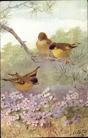 Künstler Ansichtskarte / Postkarte Drei Vögel, lila Blumen, Birds and Blossoms - Tuck 3191