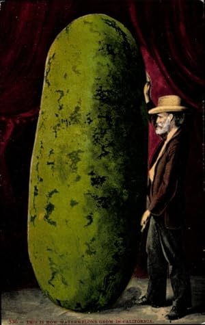 Seller image for Ansichtskarte / Postkarte Kalifornien USA, This is how watermelons grow in California, Mann mit groer Wassermelone for sale by akpool GmbH