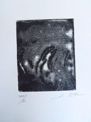 Iles et Presqu'Iles. Suite de dix-sept eaux-fortes. (17 signed etchings)