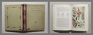 Pflanzen-Atlas nach dem Linné'schen System. Ein Handbuch zur Einführung in die heimische Flora. G...