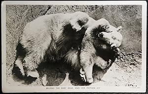 Seller image for Brumas The Baby Bear And Her Mother Ivy Real Photo Postcard for sale by Postcard Anoraks