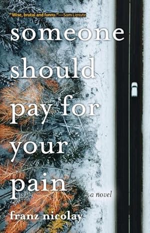 Bild des Verkufers fr Someone Should Pay for Your Pain zum Verkauf von AHA-BUCH GmbH