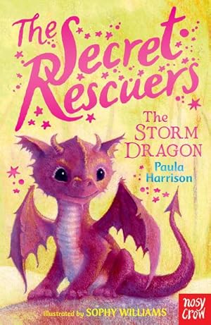 Bild des Verkufers fr The Secret Rescuers: The Storm Dragon zum Verkauf von Smartbuy