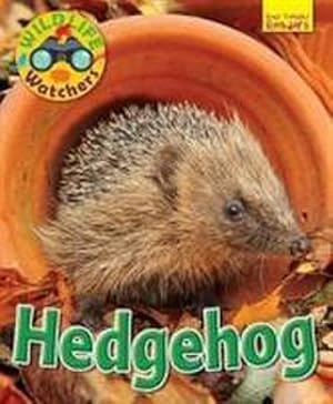 Bild des Verkufers fr Wildlife Watchers: Hedgehog zum Verkauf von Smartbuy