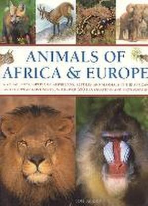 Bild des Verkufers fr Animals of Africa and Europe zum Verkauf von Smartbuy