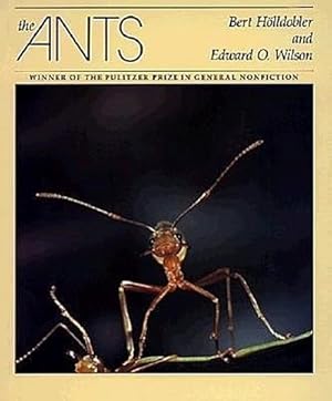 Bild des Verkufers fr The Ants zum Verkauf von AHA-BUCH GmbH