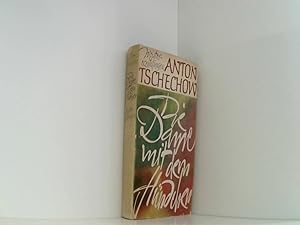 Bild des Verkufers fr Anton Tschechow: Die Dame mit dem Hndchen - Meistererzhlungen zum Verkauf von Book Broker