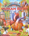 Imagen del vendedor de The human body a la venta por AG Library