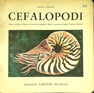 Cefalopodi