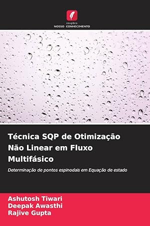 Bild des Verkufers fr Tcnica SQP de Otimizao No Linear em Fluxo Multifsico zum Verkauf von moluna