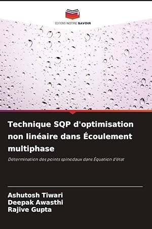 Bild des Verkufers fr Technique SQP d\ optimisation non linaire dans coulement multiphase zum Verkauf von moluna