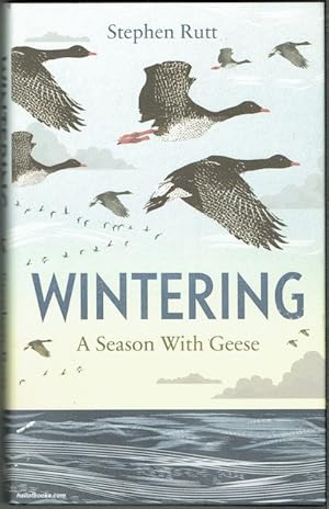 Wintering: A Season With Geese