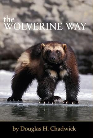 Bild des Verkufers fr The Wolverine Way zum Verkauf von AHA-BUCH GmbH